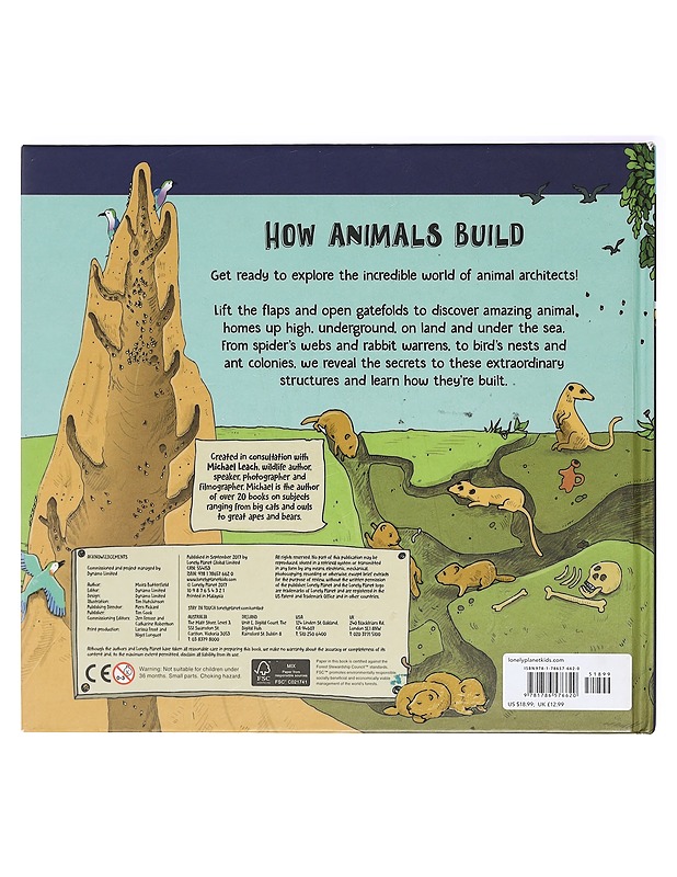 How Animals Build - Moira Butterfield - Lastenkirjat - 10105394894 - 1