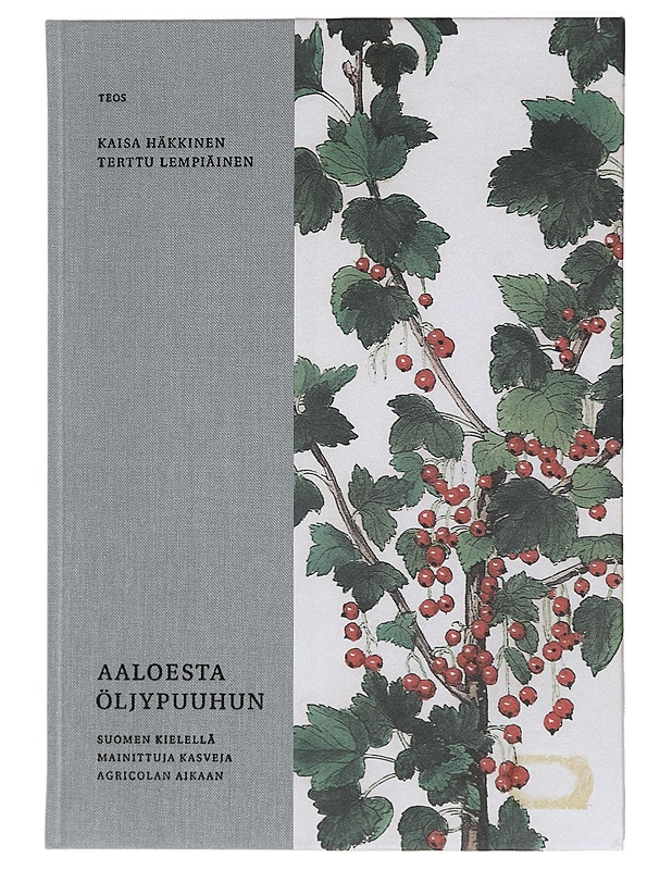 Aaloesta öljypuuhun : suomen kielellä mainittuja kasveja Agricolan aikaan - Häkkinen, Kaisa - Tietokirjat ja oppaat - 10105394898 - 0