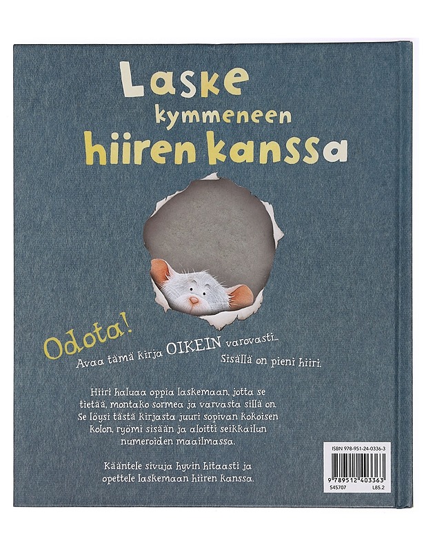 Laske kymmeneen hiiren kanssa - Brown, Margaret Wise - Lastenkirjat - 10105395188 - 1