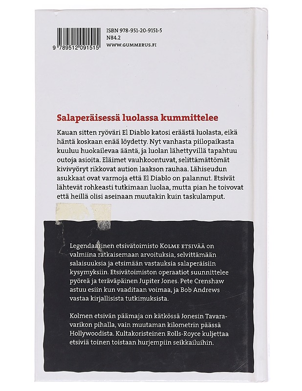 3 etsivää ja huokaavan luolan arvoitus - Arden, William - Jännitys ja dekkarit - 10105395676 - 1