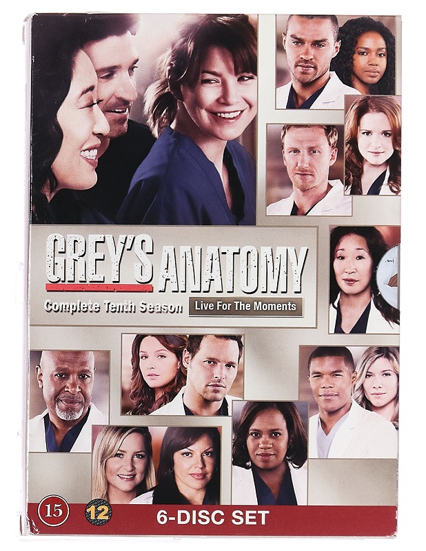 Greyn Anatomia: Kausi 10 - DVD - DVD-elokuvat - 10105396257 - 0