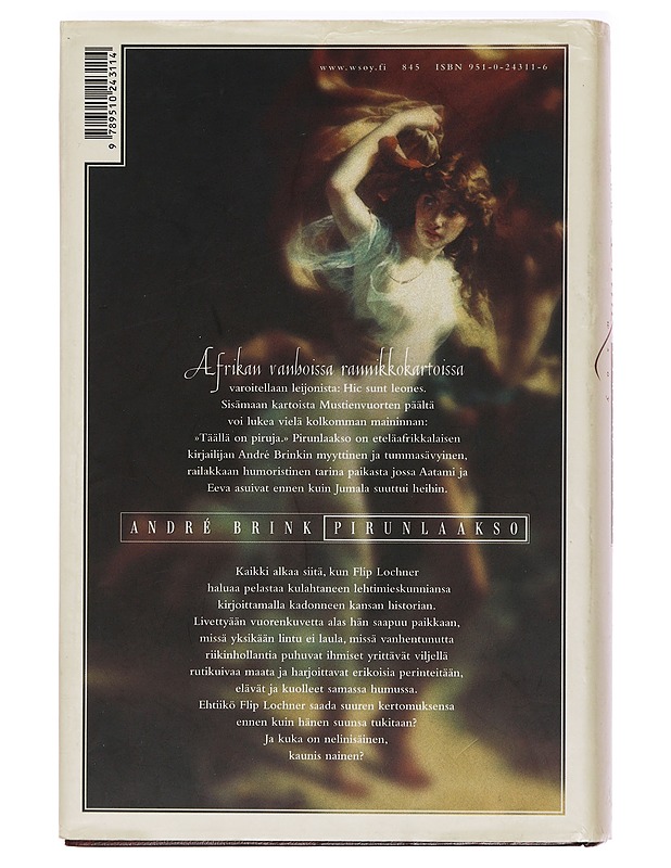 Pirunlaakso - Brink, André - Romaanit ja novellit - 10105396799 - 1