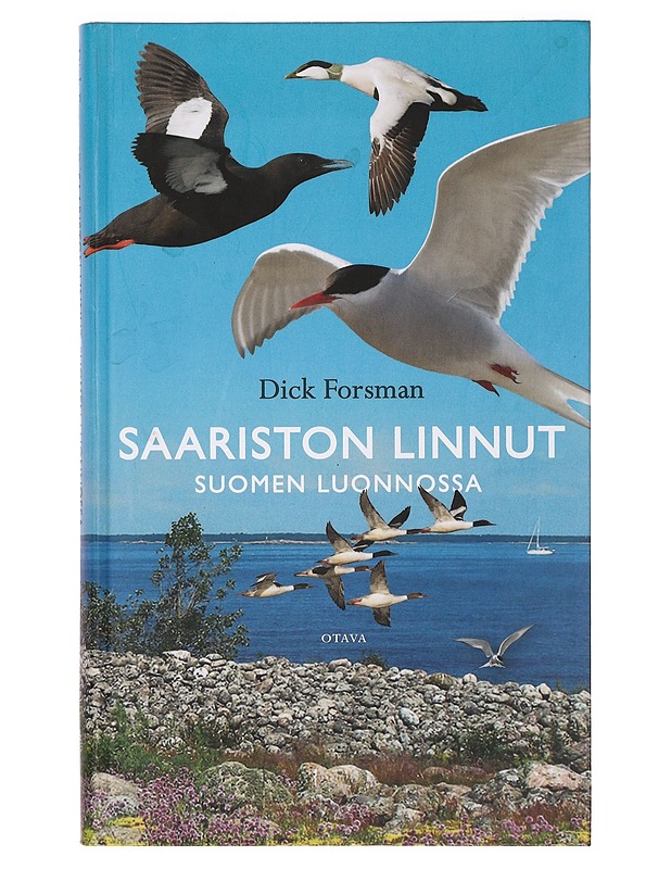Saariston linnut Suomen luonnossa - Forsman, Dick - Tietokirjat ja oppaat - 10105397381 - 0