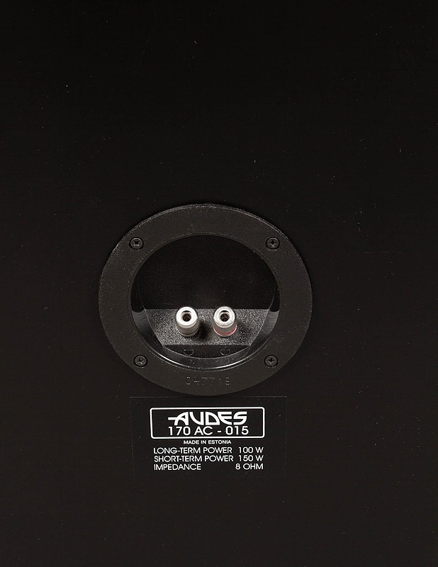 AUDES 170 AC-Q15 lattiakaiuttimet - Audio - 10105397588 - 3