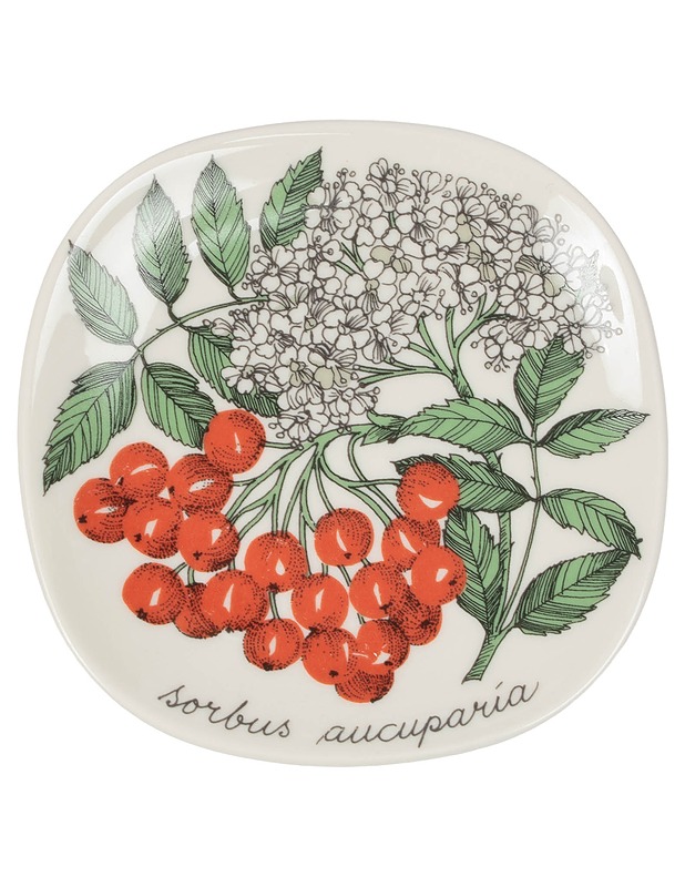 ARABIA Botanica Pihlaja seinälautanen - Designsuosikit - 10105397613 - 0