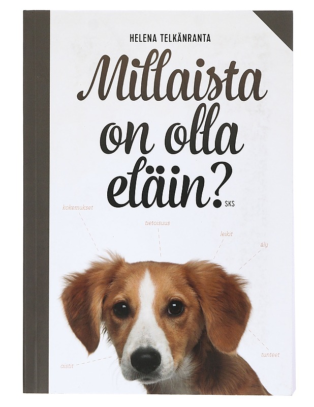 Millaista on olla eläin? - Helena Telkänranta - Tietokirjat ja oppaat - 10105398033 - 0