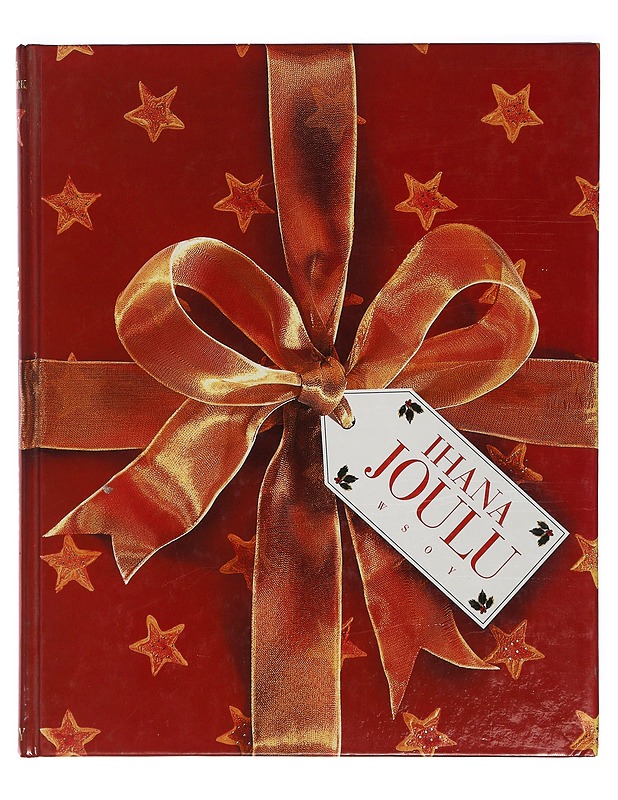 Ihana joulu - Newdick, Jane - Joulukirjat - 10105398146 - 0