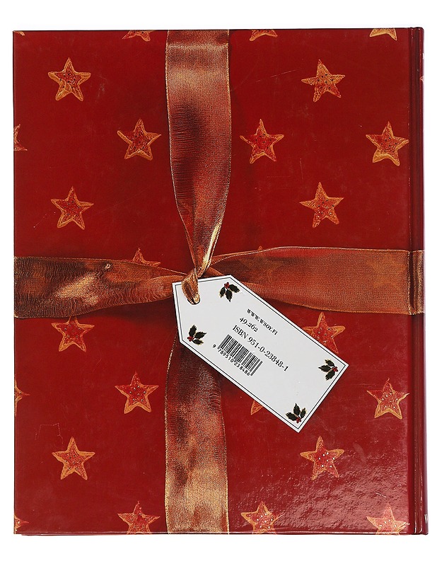 Ihana joulu - Newdick, Jane - Joulukirjat - 10105398146 - 1