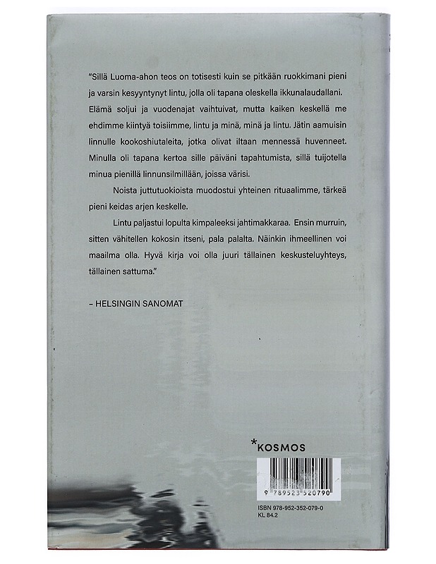 Delete - V.S. Luoma-aho - Romaanit ja novellit - 10105398271 - 1