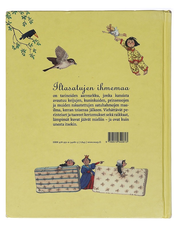 Iltasatujen ihmemaa - Hawthorn, Philip - Lastenkirjat - 10105398406 - 1