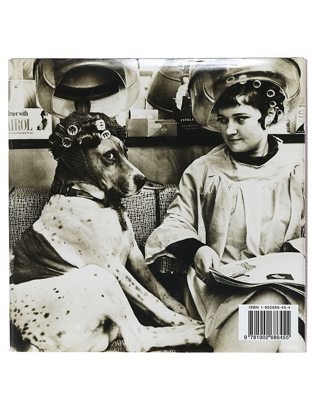 The Big Book of Dogs - J. C. Suarès - Lemmikki- ja luontokirjat - 10105398521 - 1