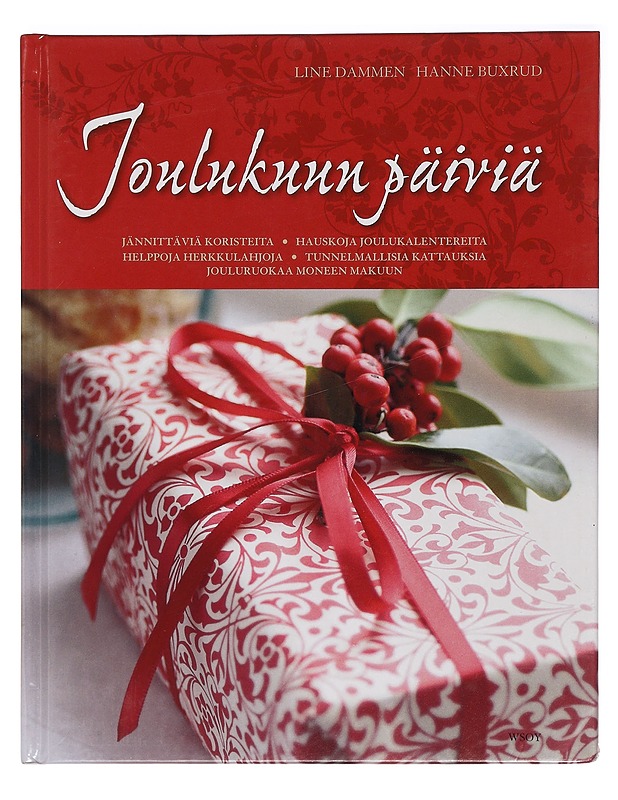 Joulukuun päiviä - Dammen, Line - Käsityökirjat - 10105398951 - 0