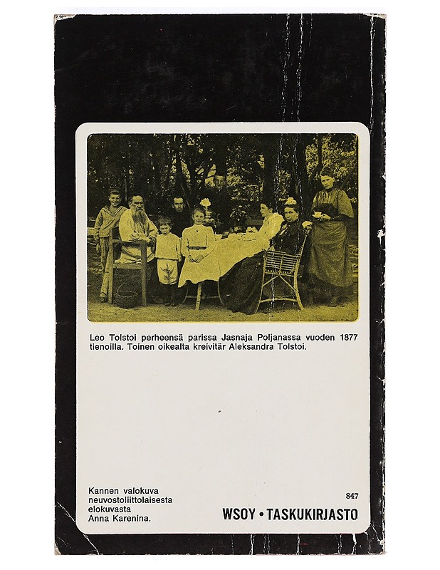 Anna Karenina 2 - Leo Tolstoi - Romaanit ja novellit - 10105399059 - 1