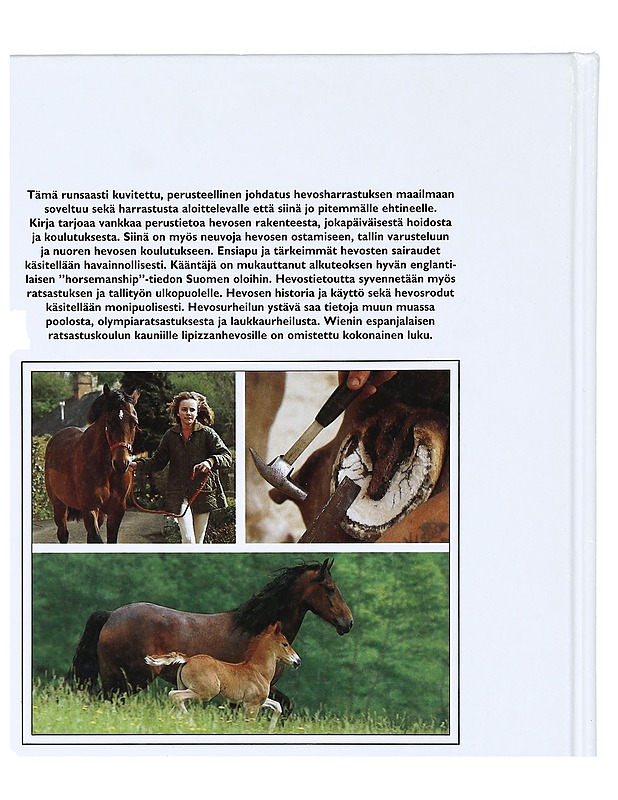 Kaikki hevosesta - Roberts, Peter - Lemmikki- ja luontokirjat - 10105399525 - 1