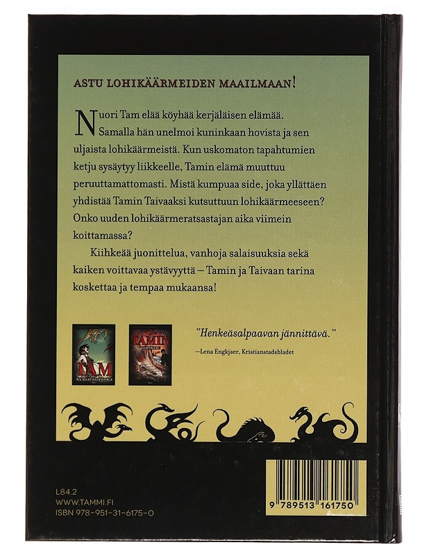 Tam kerjäläispoika - Salmson, Jo - Lastenkirjat - 10105399837 - 1