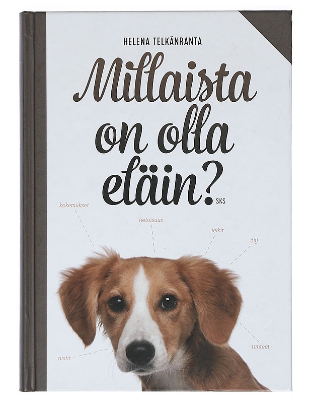 Millaista on olla eläin? - Helena Telkänranta - Tietokirjat ja oppaat - 10105399938 - 0