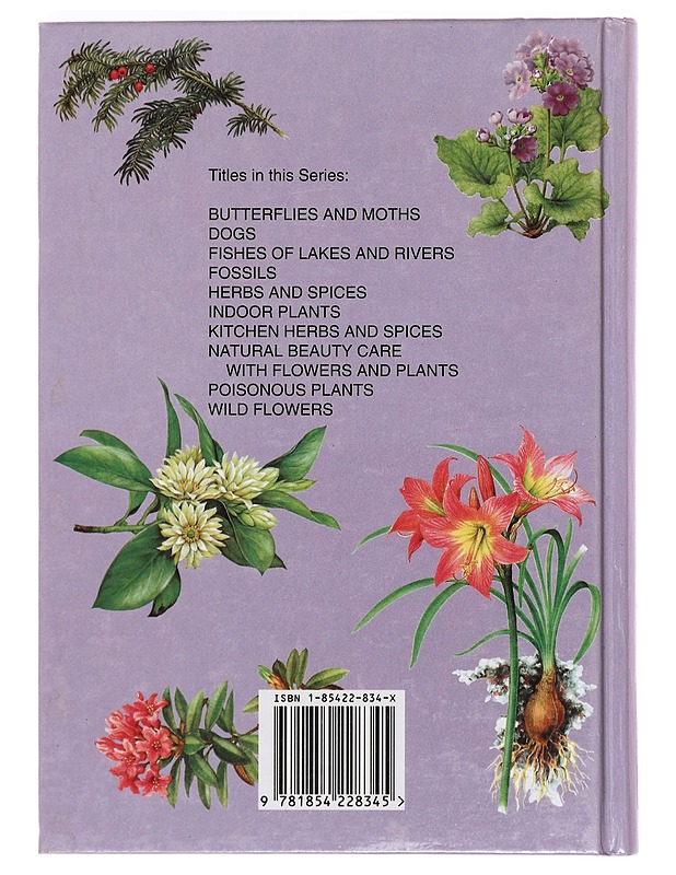 Poisonous plants - Starý, Frantisek - Tietokirjat ja oppaat - 10105400133 - 1