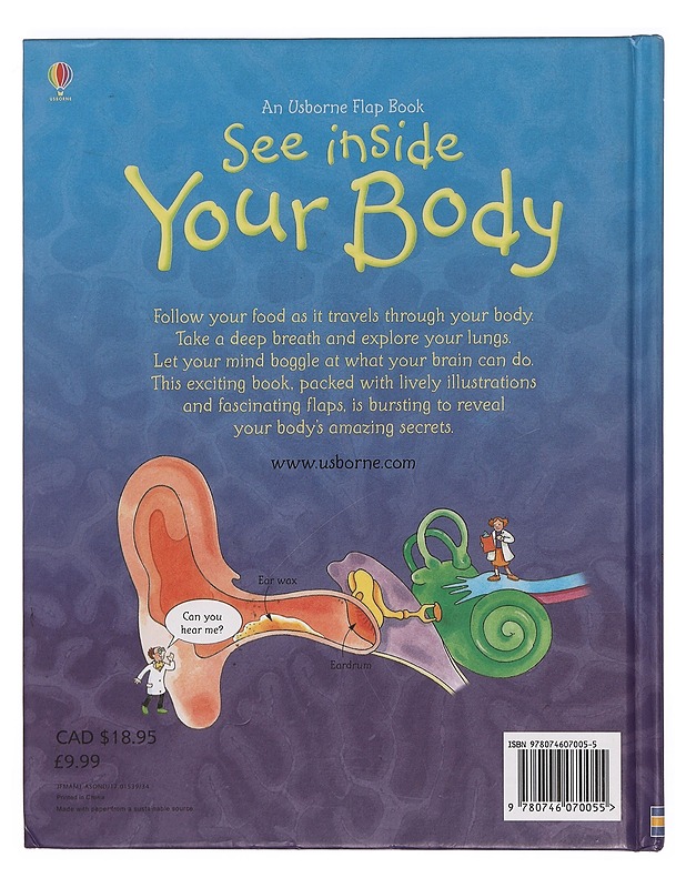 See Inside Your Body - Daynes, Katie - Lastenkirjat - 10105400797 - 1