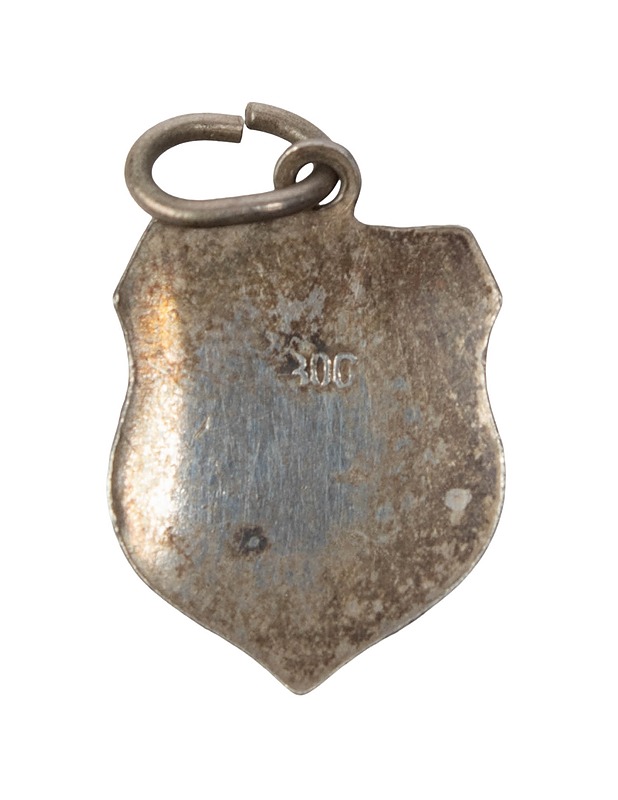 Hopeariipus, Heidelberg - Askartelu - 10105401252 - 1