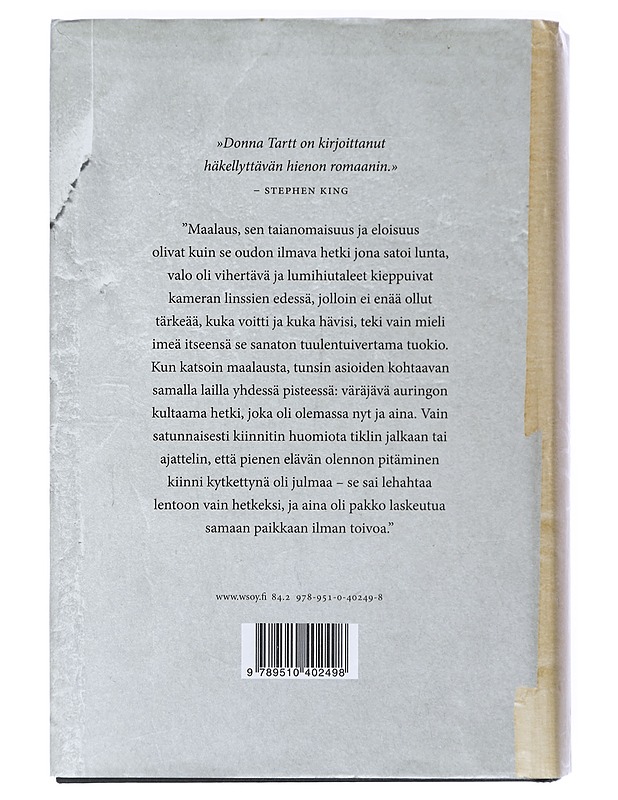 Tikli - Tartt, Donna - Romaanit ja novellit - 10105401297 - 1