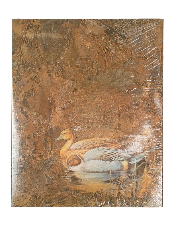 Herlitz Collection kirjepaperisetti - Askartelu - 10105401320 - 1