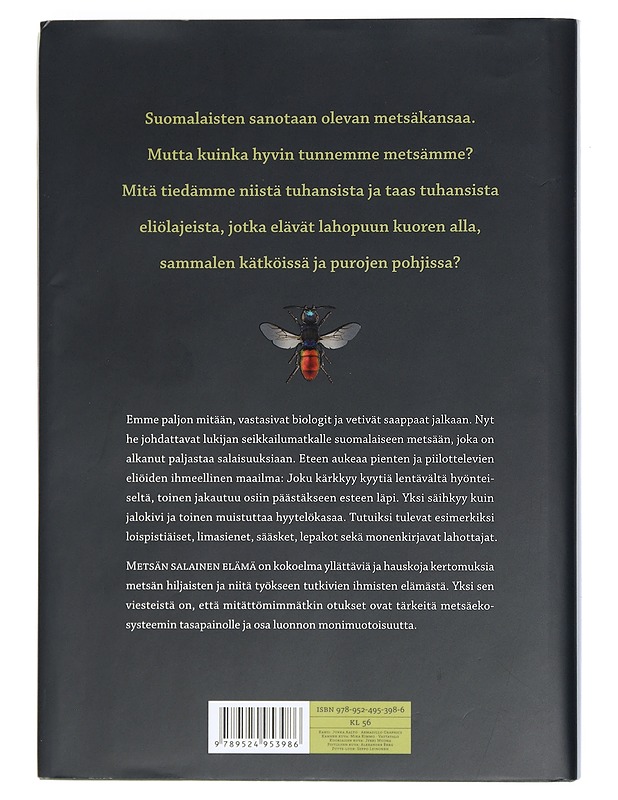 Kolmen kerroksen väkeä - Schigel, Dmitry - Tietokirjat ja oppaat - 10105401385 - 1