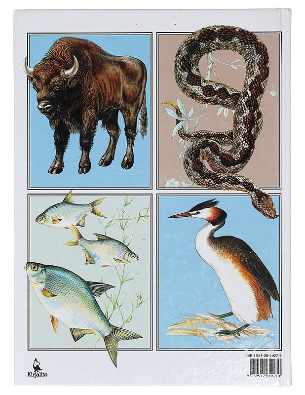 Koko perheen eläinkirja - Laukkanen, Anna-Maija - Tietokirjat ja oppaat - 10105402219 - 1