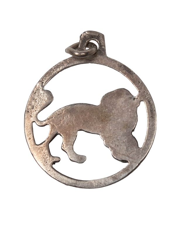 Hopeariipus leijona - Askartelu - 10105402299 - 1