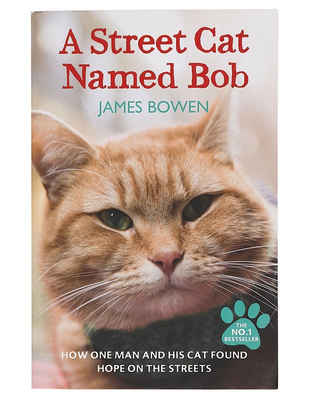 A street cat named Bob : [how one man and his cat found hope on the streets] - James Bowen - Elämäkerrat ja muistelmat - 10105402514 - 0