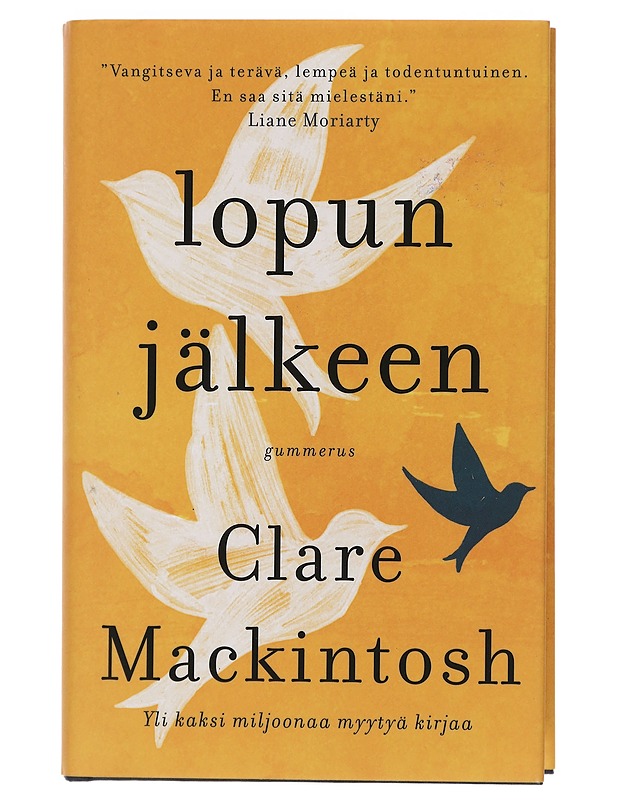 Lopun jälkeen - Mackintosh, Clare - Romaanit ja novellit - 10105402799 - 0