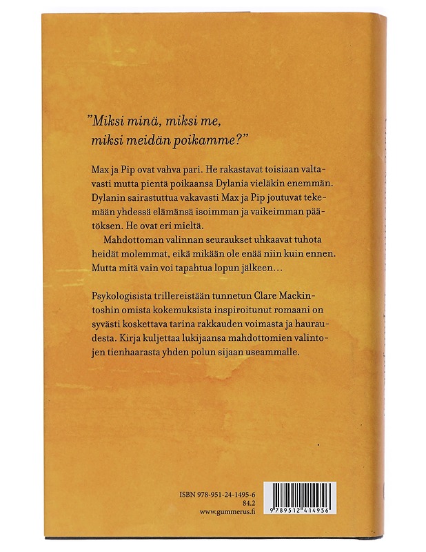 Lopun jälkeen - Mackintosh, Clare - Romaanit ja novellit - 10105402799 - 1