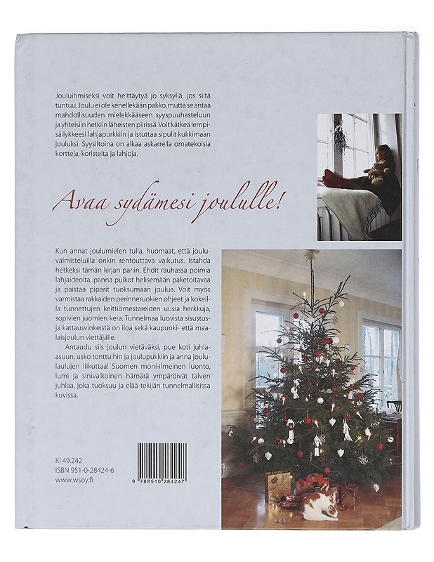 Syystunnelmia ja joulun odotusta - Tiia Koskimies - Tietokirjat ja oppaat - 10105403533 - 1