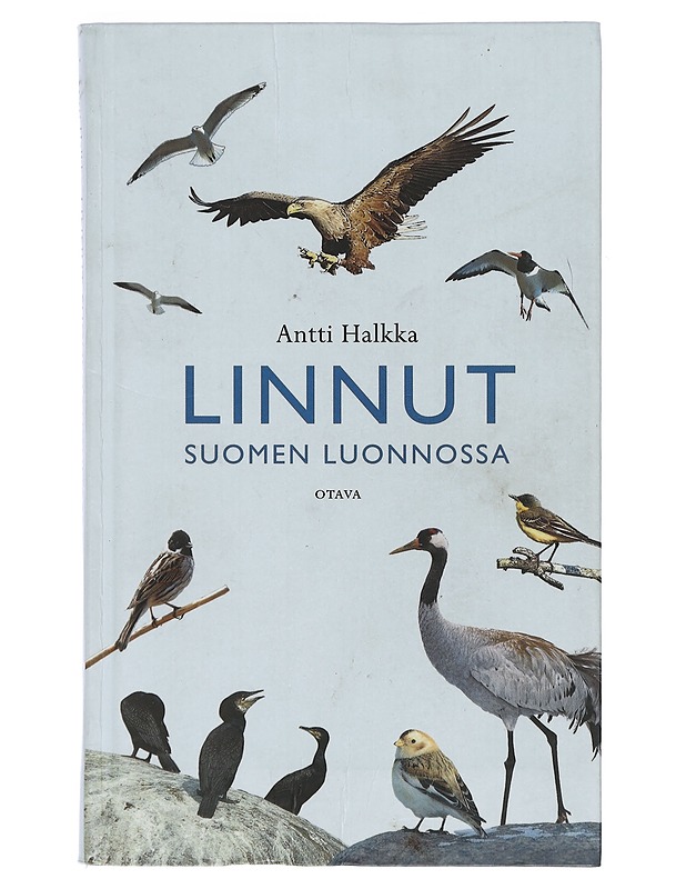 Linnut Suomen luonnossa - Halkka, Antti - Harrastekirjat - 10105404299 - 0