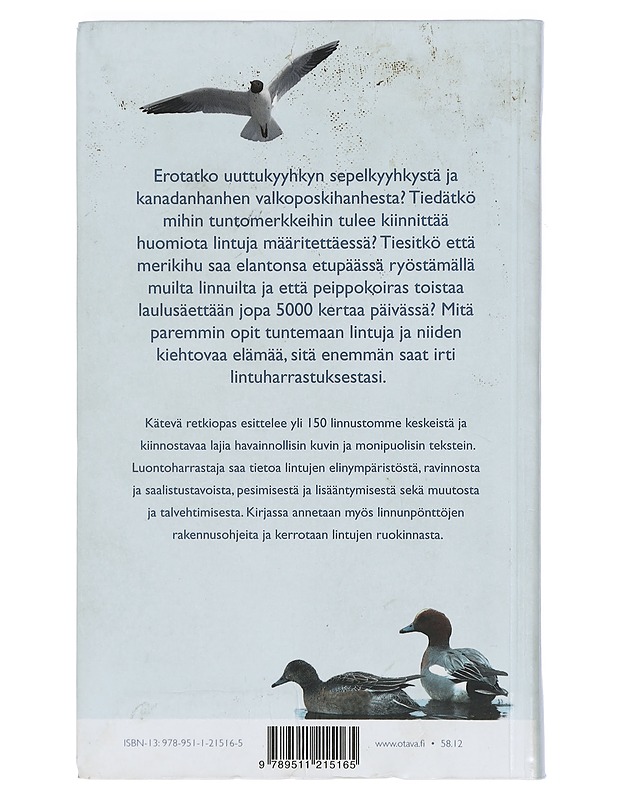 Linnut Suomen luonnossa - Halkka, Antti - Harrastekirjat - 10105404299 - 1