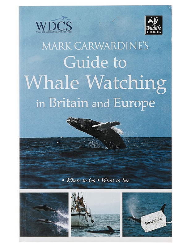 Guide to Whale Watching in Britain and Europe - Carwardine, Mark - Tietokirjat ja oppaat - 10105404352 - 0