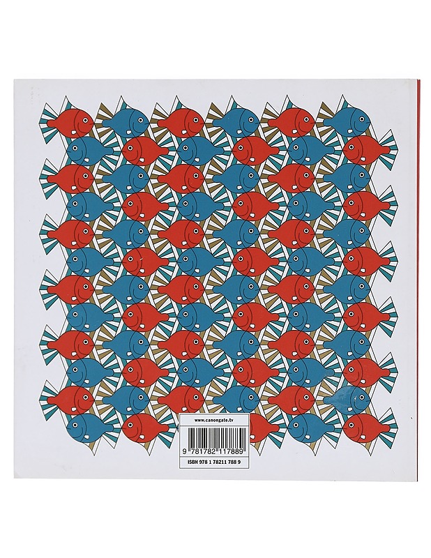 Snowflake Seashell Star: Colouring Adventures in Numberland - Bellos, Alex - Lastenkirjat - 10105404640 - 1