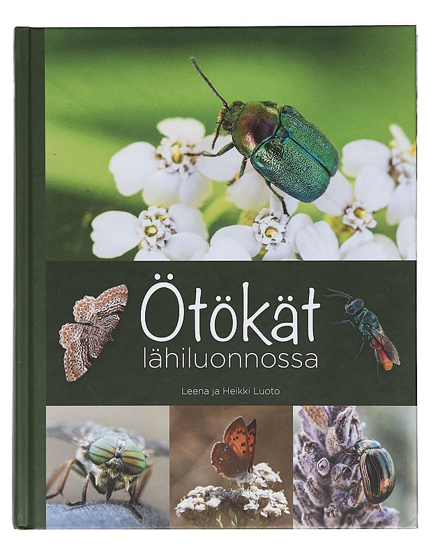 Ötökät lähiluonnossa - Luoto, Leena - Tietokirjat ja oppaat - 10105404802 - 0