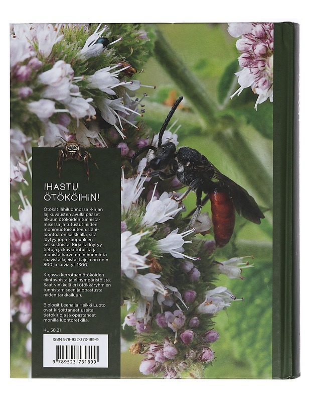 Ötökät lähiluonnossa - Luoto, Leena - Tietokirjat ja oppaat - 10105404802 - 1