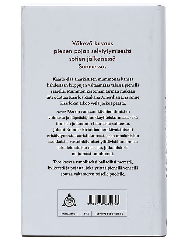 Amerikka - Juhani Brander - Romaanit ja novellit - 10105404993 - 1