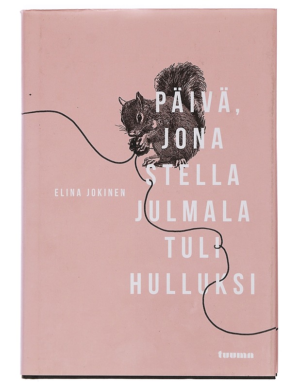 Päivä, jona Stella Julmala tuli hulluksi - Elina Jokinen - Romaanit ja novellit - 10105405001 - 0