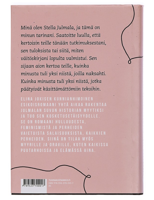 Päivä, jona Stella Julmala tuli hulluksi - Elina Jokinen - Romaanit ja novellit - 10105405001 - 1