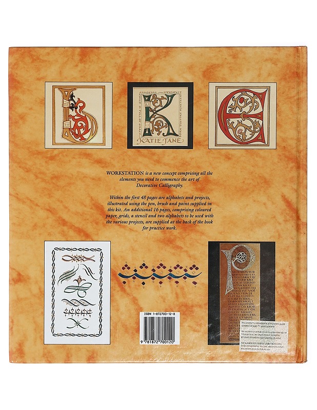 Calligraphy Projects : Workstation - Manda Hanson - Tietokirjat ja oppaat - 10105405188 - 1