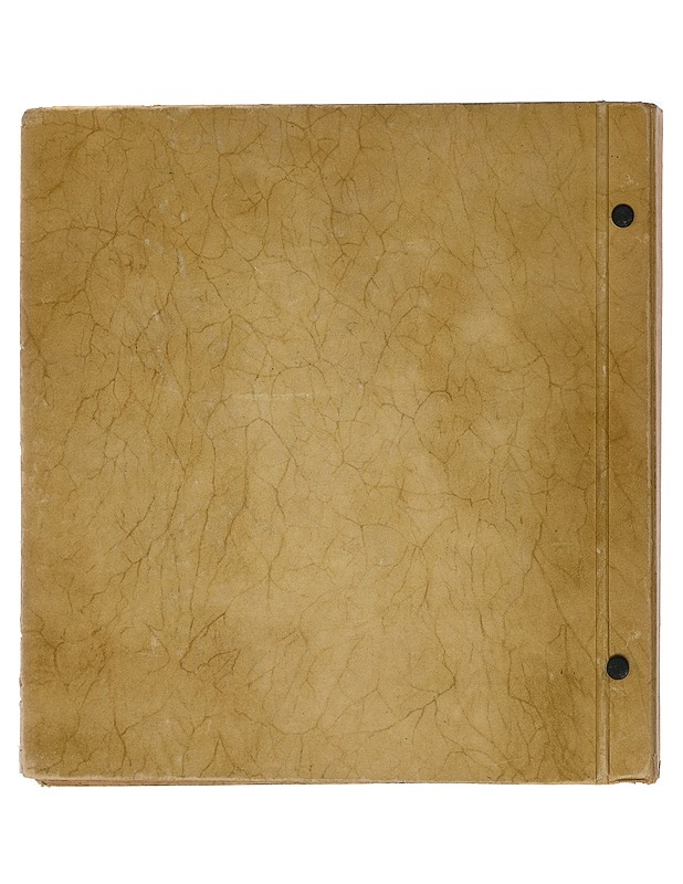 Schaubek postimerkkialbumi - C. F. Lücke - Historiakirjat - 10105405939 - 1