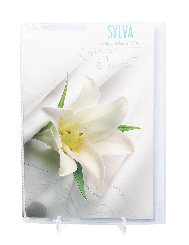 Adressi ja kirjekuori - Askartelu - 10105406440 - 0