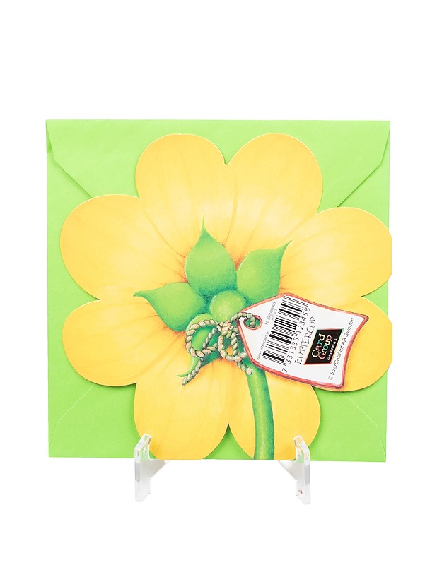 Buttercup korttisetti - Askartelu - 10105406591 - 2