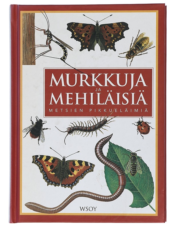 Murkkuja ja mehiläisiä : metsien pikkueläimiä - Olsen, Lars Henrik - Tietokirjat ja oppaat - 10105406696 - 0
