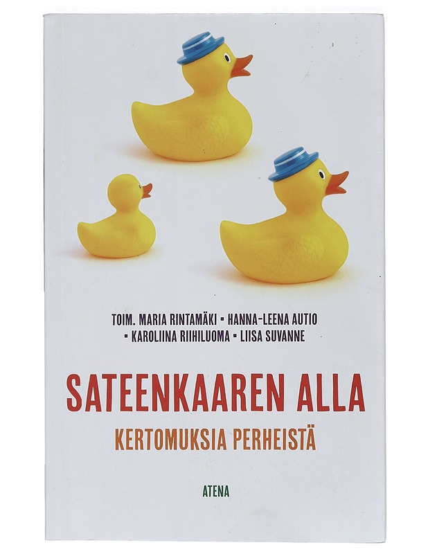 Sateenkaaren alla : kertomuksia perheistä - Rintamäki, Maria - Tietokirjat ja oppaat - 10105406739 - 0