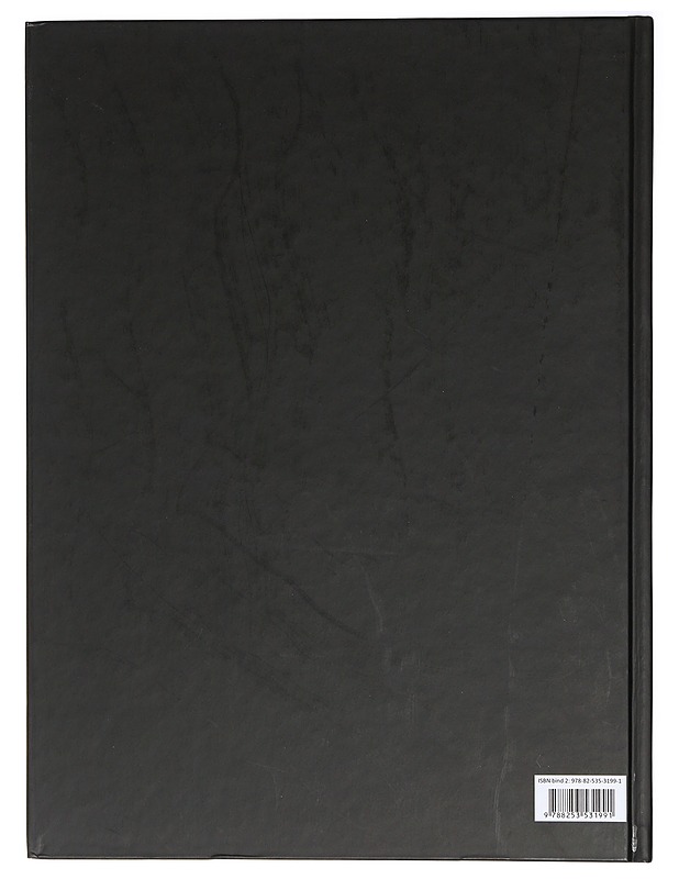 Historian Käännekohtia, Kolmas valtakunta - Prien, Søren - Historiakirjat - 10105407162 - 1