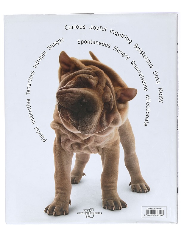 Puppies: Wet Noses and Fuzzy Bellies - Lemmikki- ja luontokirjat - 10105407192 - 1