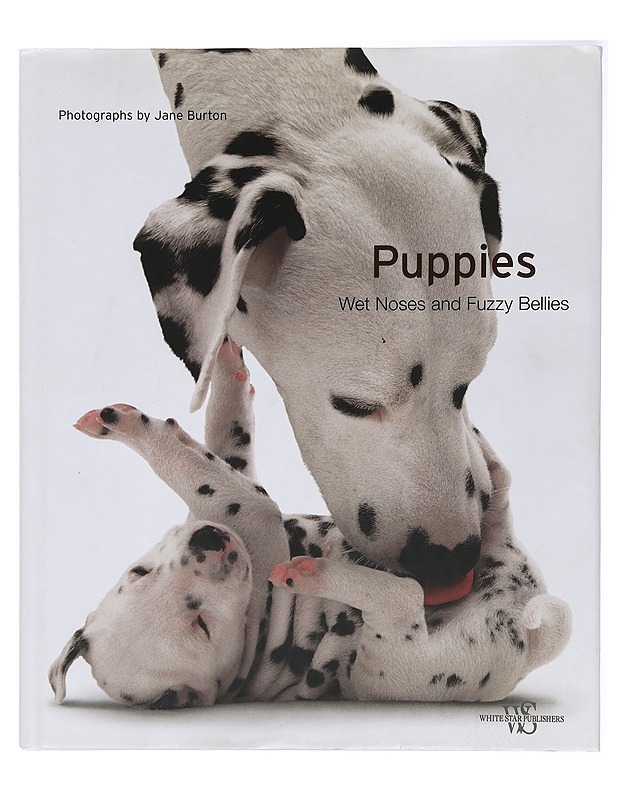 Puppies: Wet Noses and Fuzzy Bellies - Lemmikki- ja luontokirjat - 10105407192 - 0